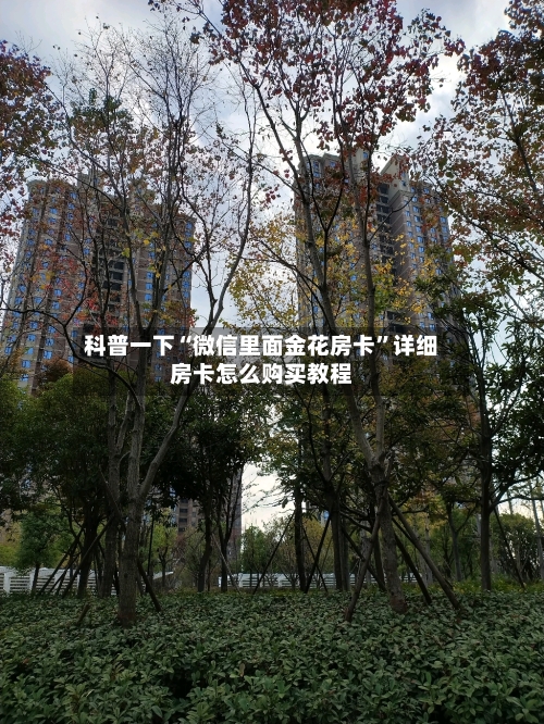 科普一下“微信里面金花房卡	”详细房卡怎么购买教程-第3张图片