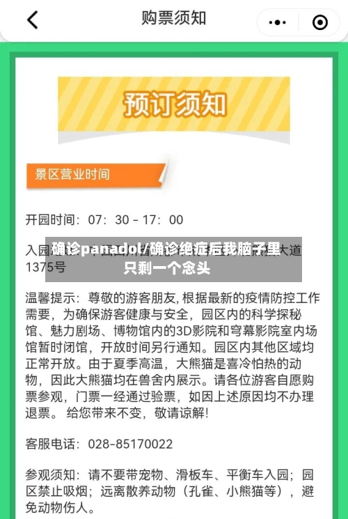 确诊panadol/确诊绝症后我脑子里只剩一个念头