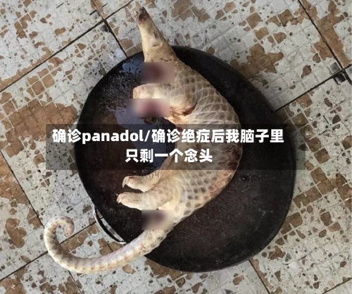 确诊panadol/确诊绝症后我脑子里只剩一个念头-第2张图片