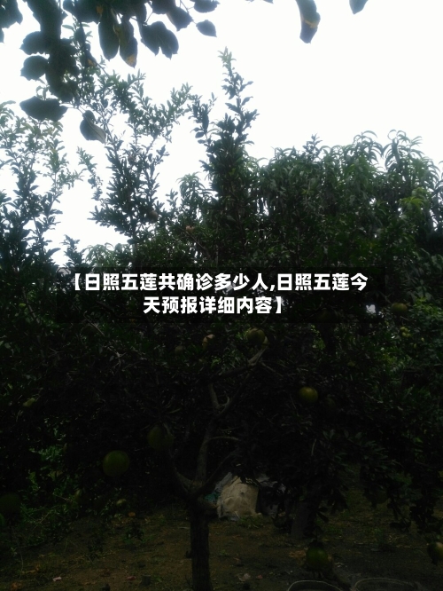 【日照五莲共确诊多少人,日照五莲今天预报详细内容】