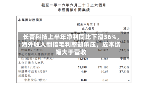 长青科技上半年净利同比下滑36%，海外收入翻倍毛利率却承压，成本增幅大于营收-第3张图片