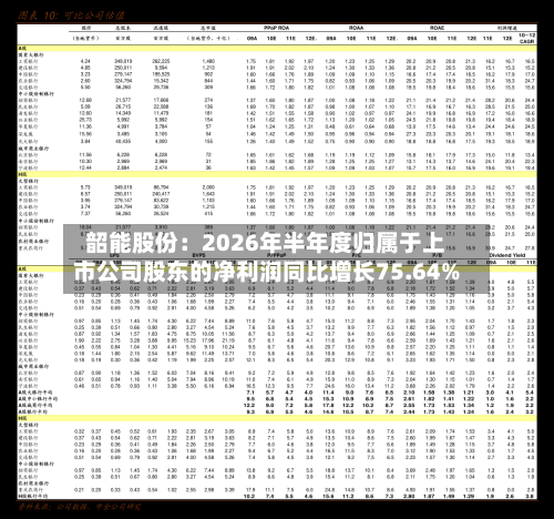 韶能股份:2026年半年度归属于上市公司股东的净利润同比增长75.64%-第3张图片