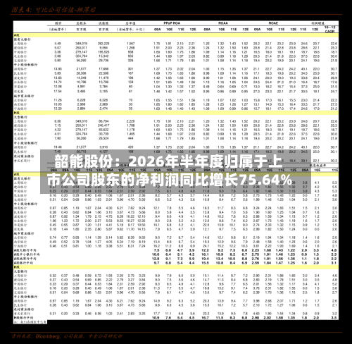 韶能股份:2026年半年度归属于上市公司股东的净利润同比增长75.64%-第1张图片