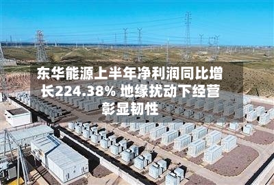 东华能源上半年净利润同比增长224.38% 地缘扰动下经营彰显韧性-第3张图片