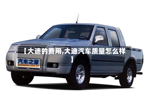 【大迪的费用,大迪汽车质量怎么样】