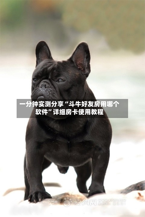 一分钟实测分享“斗牛好友房用哪个软件	”详细房卡使用教程-第3张图片