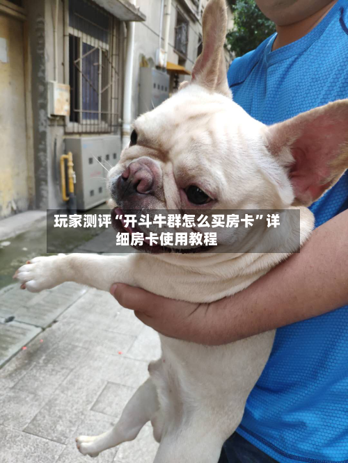 玩家测评“开斗牛群怎么买房卡”详细房卡使用教程-第2张图片