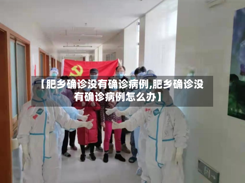 【肥乡确诊没有确诊病例,肥乡确诊没有确诊病例怎么办】