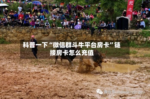 科普一下“微信群斗牛平台房卡”链接房卡怎么充值-第2张图片