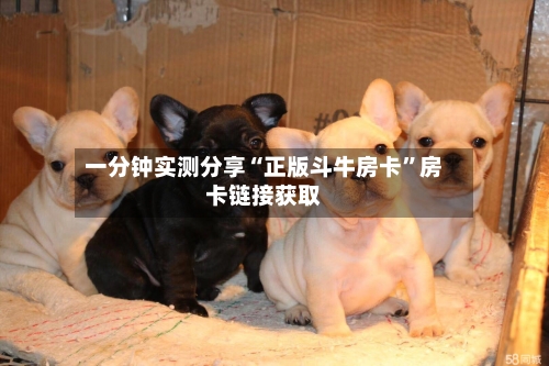一分钟实测分享“正版斗牛房卡	”房卡链接获取-第2张图片