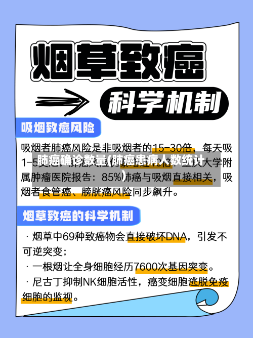 肺癌确诊数量(肺癌患病人数统计)