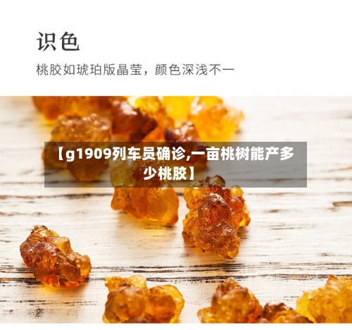 【g1909列车员确诊,一亩桃树能产多少桃胶】-第2张图片