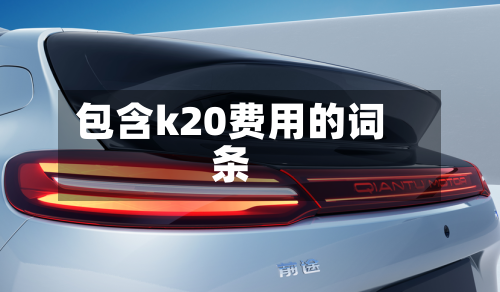 包含k20费用的词条