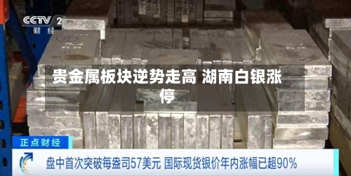 贵金属板块逆势走高 湖南白银涨停
