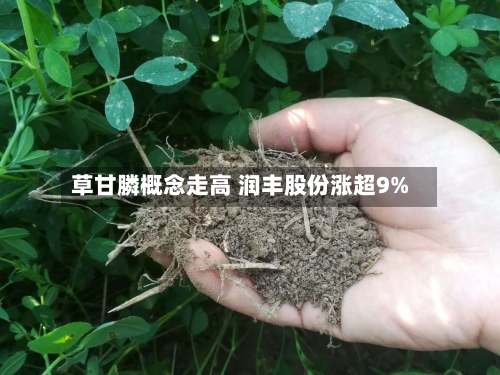 草甘膦概念走高 润丰股份涨超9%
