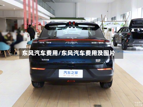 东风汽车费用/东风汽车费用及图片-第2张图片