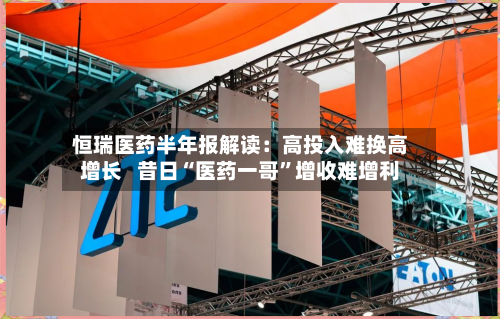 恒瑞医药半年报解读：高投入难换高增长   昔日“医药一哥”增收难增利-第2张图片