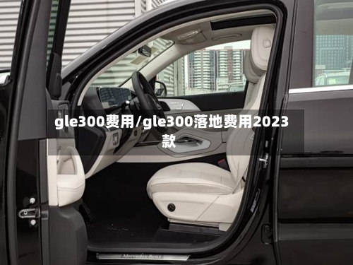 gle300费用/gle300落地费用2023款-第2张图片