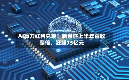 AI算力红利兑现！新易盛上半年营收翻倍	，狂赚75亿元-第3张图片