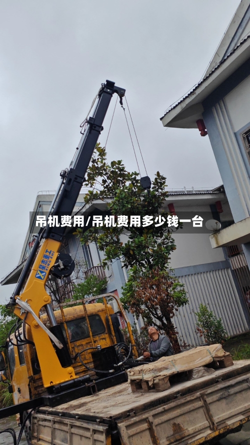 吊机费用/吊机费用多少钱一台