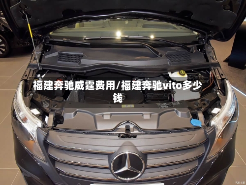 福建奔驰威霆费用/福建奔驰vito多少钱