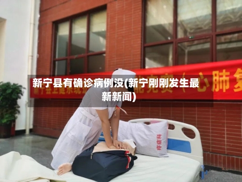 新宁县有确诊病例没(新宁刚刚发生最新新闻)
