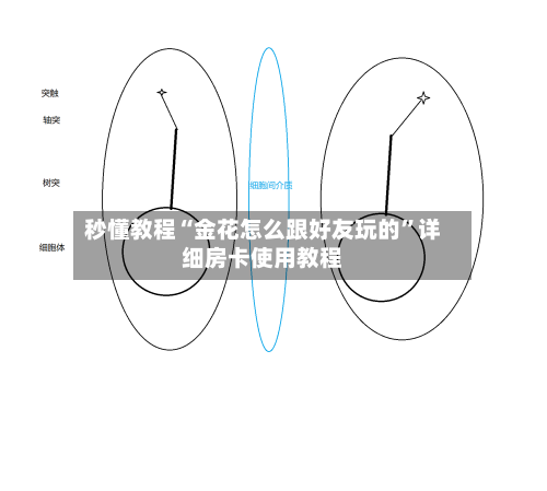 秒懂教程“金花怎么跟好友玩的”详细房卡使用教程-第2张图片