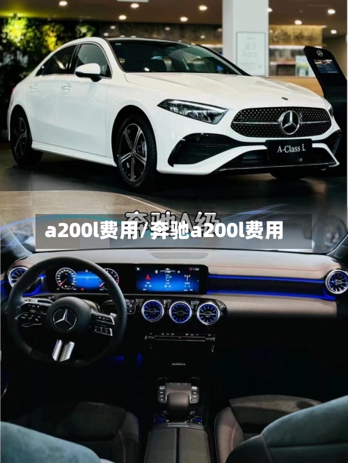 a200l费用/奔驰a200l费用