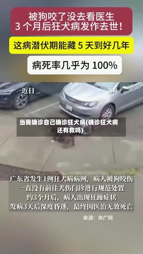当我确诊自己确诊狂犬病(确诊狂犬病还有救吗)