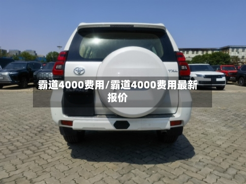 霸道4000费用/霸道4000费用最新报价-第2张图片
