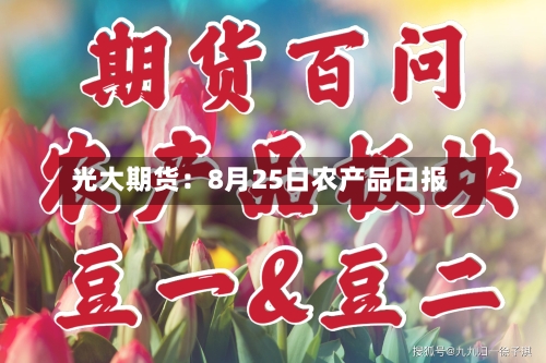 光大期货：8月25日农产品日报-第2张图片