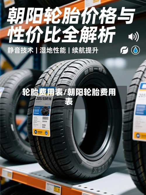 轮胎费用表/朝阳轮胎费用表-第2张图片