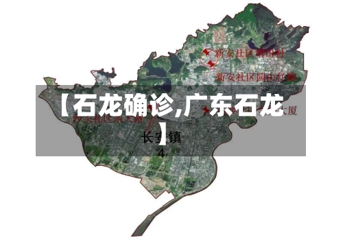 【石龙确诊,广东石龙】-第3张图片