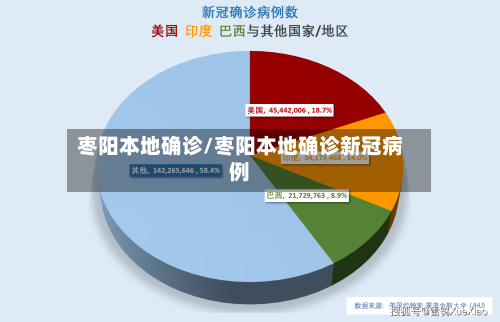 枣阳本地确诊/枣阳本地确诊新冠病例-第2张图片