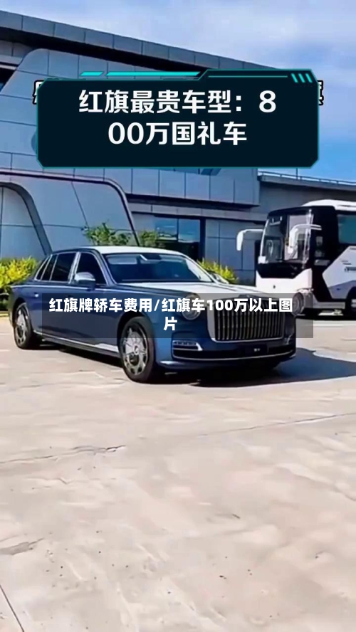 红旗牌轿车费用/红旗车100万以上图片