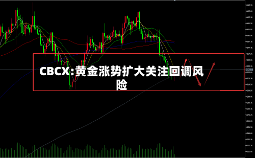 CBCX:黄金涨势扩大关注回调风险-第2张图片