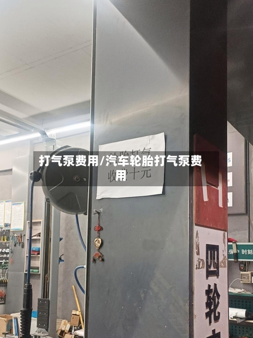 打气泵费用/汽车轮胎打气泵费用-第3张图片