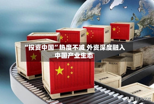 “投资中国”热度不减 外资深度融入中国产业生态-第3张图片