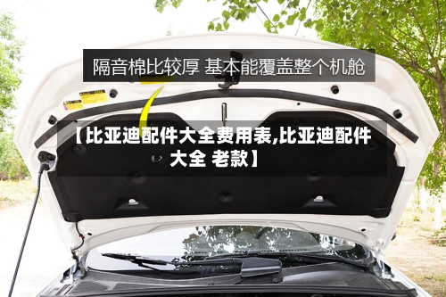 【比亚迪配件大全费用表,比亚迪配件大全 老款】-第2张图片