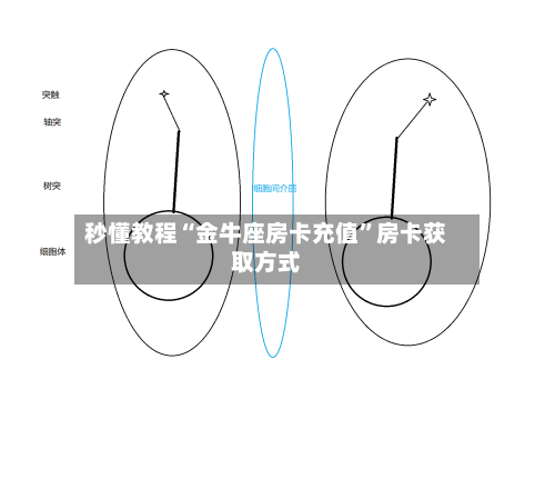 秒懂教程“金牛座房卡充值”房卡获取方式-第2张图片