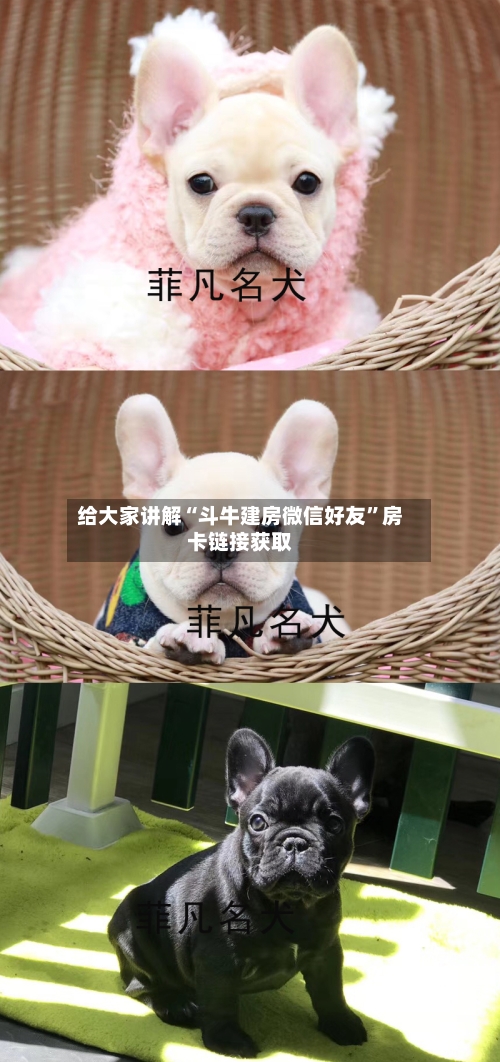 给大家讲解“斗牛建房微信好友”房卡链接获取
