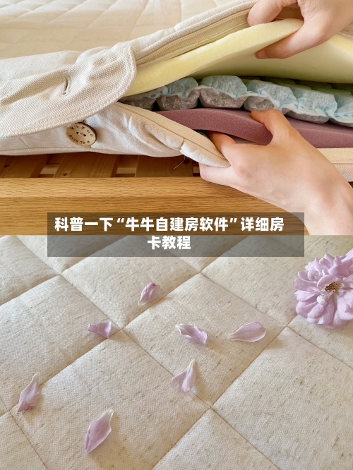 科普一下“牛牛自建房软件”详细房卡教程