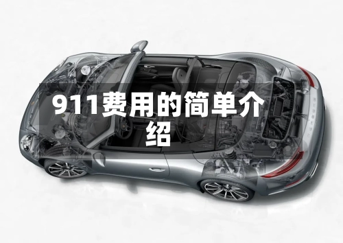 911费用的简单介绍