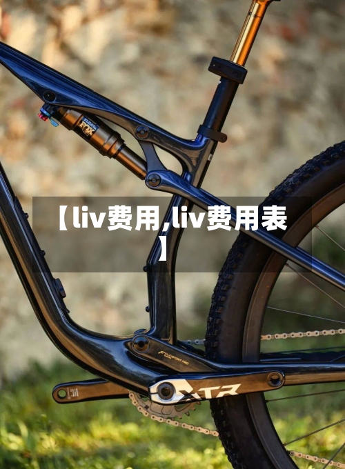 【liv费用,liv费用表】