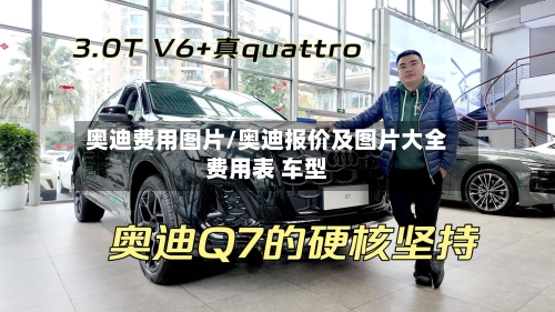 奥迪费用图片/奥迪报价及图片大全费用表 车型