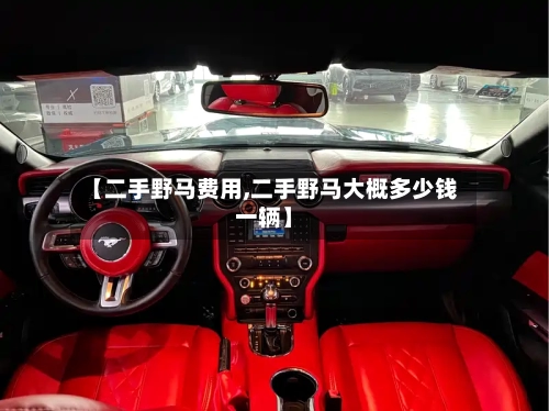 【二手野马费用,二手野马大概多少钱一辆】