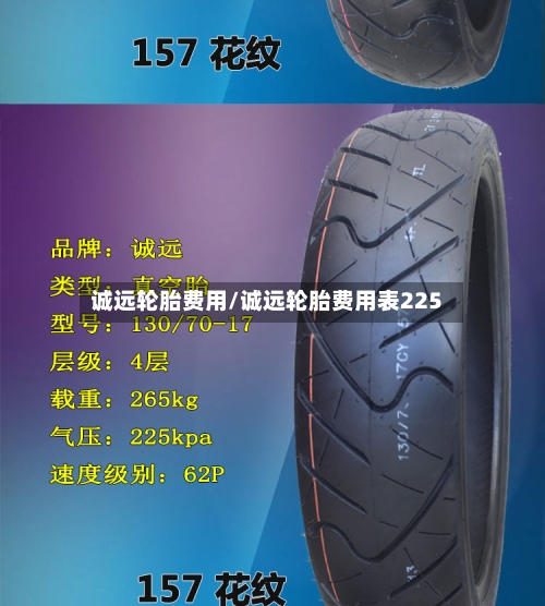 诚远轮胎费用/诚远轮胎费用表225