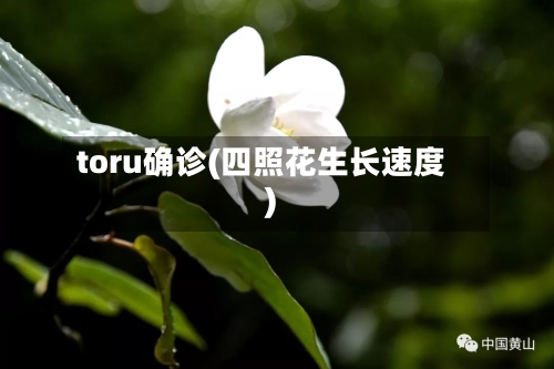 toru确诊(四照花生长速度)