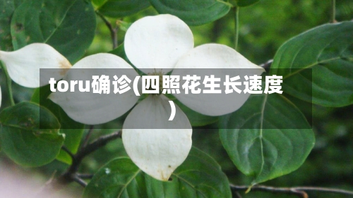 toru确诊(四照花生长速度)-第3张图片