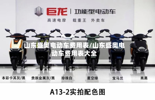 山东盛奥电动车费用表/山东盛奥电动车费用表大全